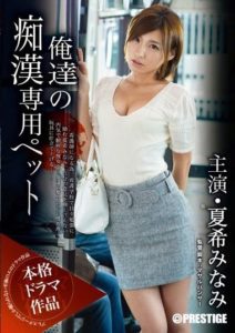 ABP-264 Our Exclusive Pet for Molestation, Minami Natsuki